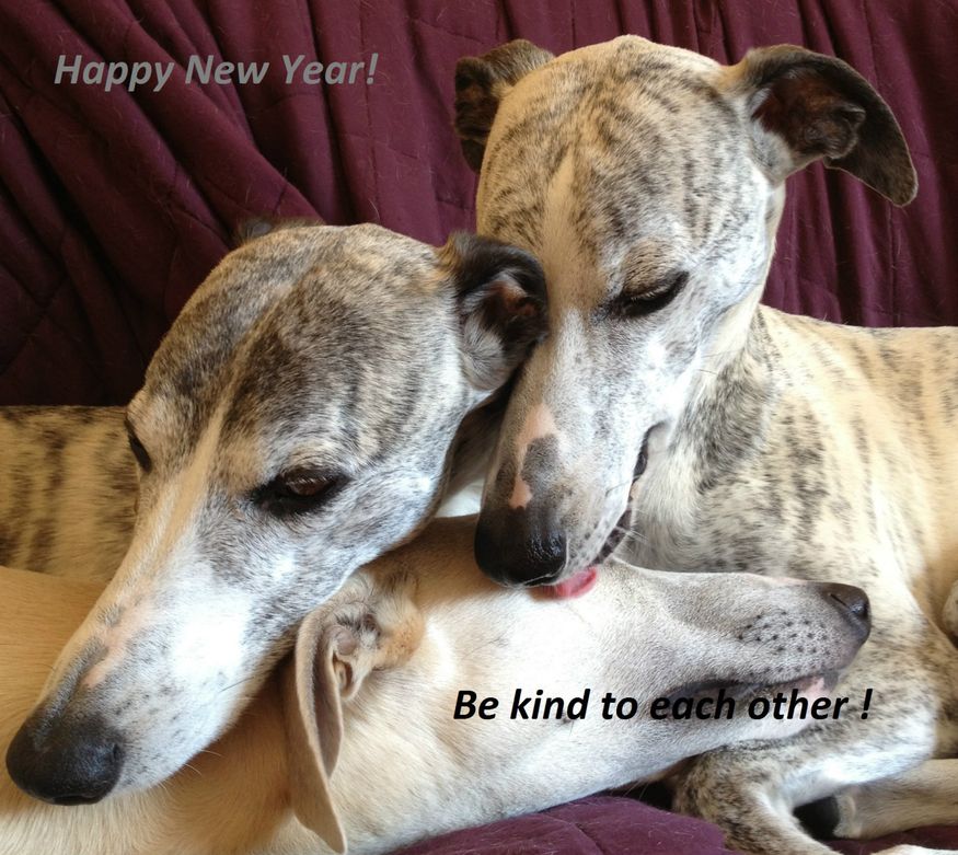 Vi önskar alla ett riktigt fint 2015!